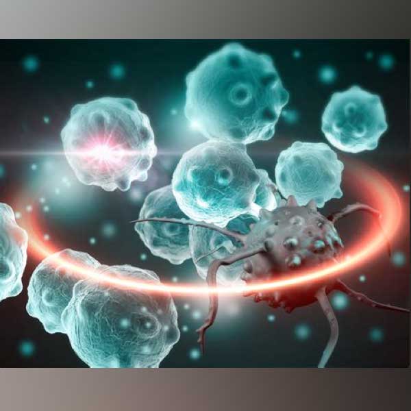 Cancer - Personalized medicine